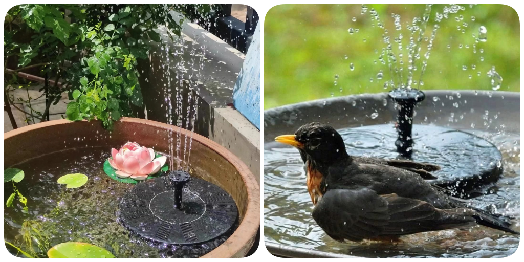 Sherem Solar Powered Water Fountain collage in use